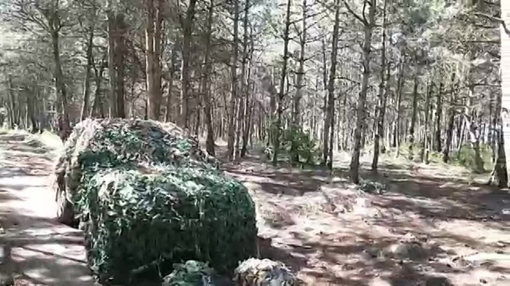 ��� ������: �����������. �� ��� ����� �� ������ ��� �������� ���������, �������� ��� �������� �� ����� ��������������� �����������