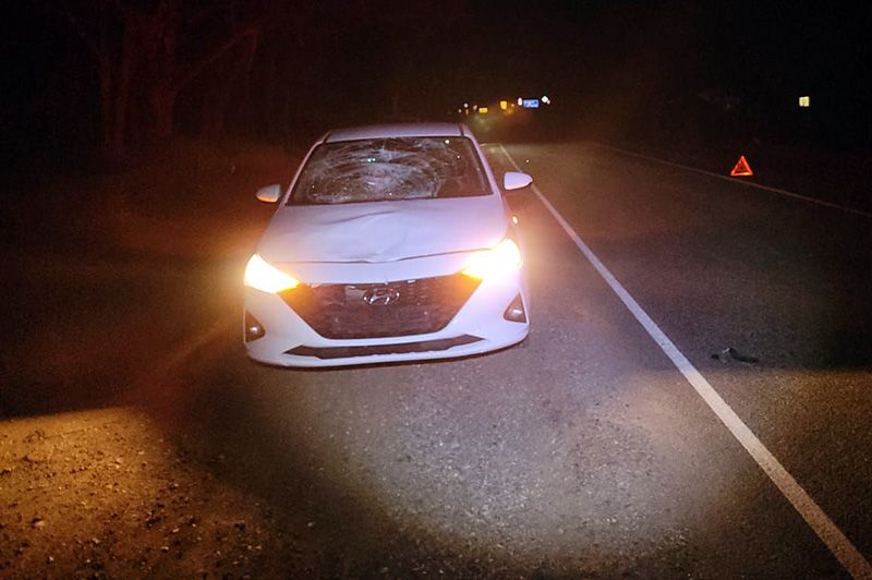 �� �������� ������ Hyundai Solaris ����� ����� ��������