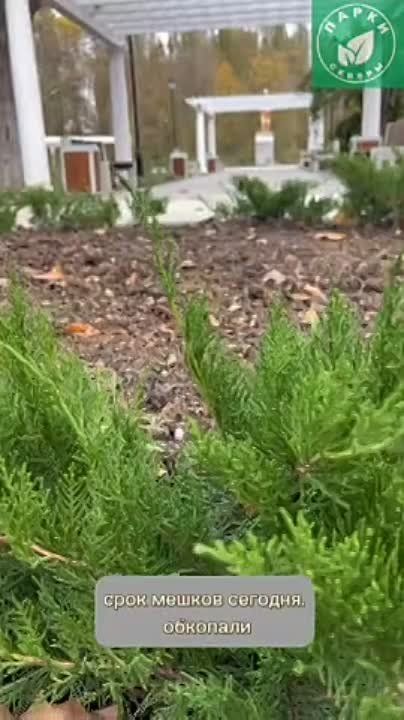 ����� ����� ����� ��������� � ���� �� ������� ���������������������� ���������
