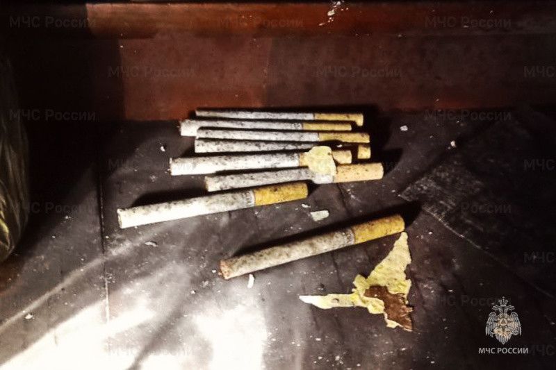 �������� � ������� ����� ��������� ��� 82-������ ���������