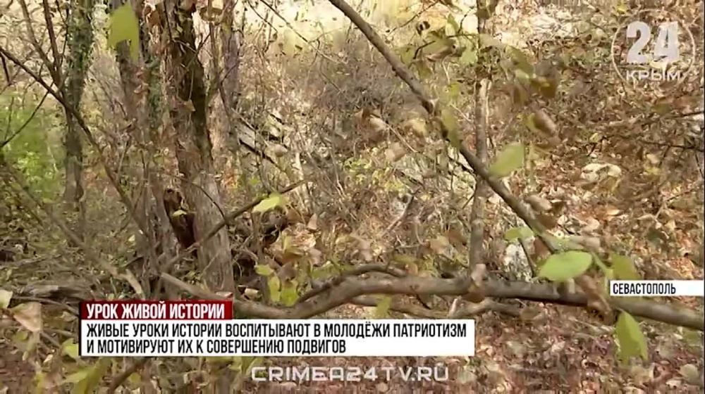 � ����������� ��������� ��������-�������������� ����������� �� �������� ��������������