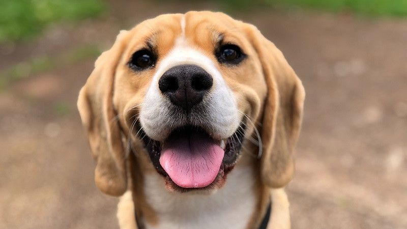 ��� ������� ������ ��������� �������