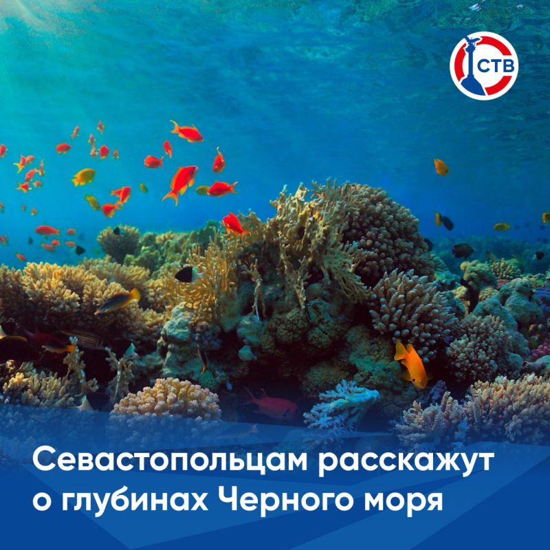 � ��������� ����� ������� ������� ������������� ���� ������