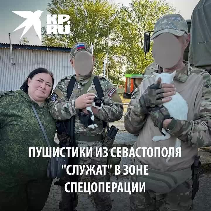 �������� ������ ����� ������ �� ����� ������� ���������������