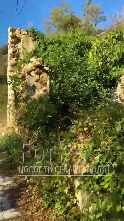 ��� ������� �������� ������� ���� �������� �� ��������: �����, ������� � �������