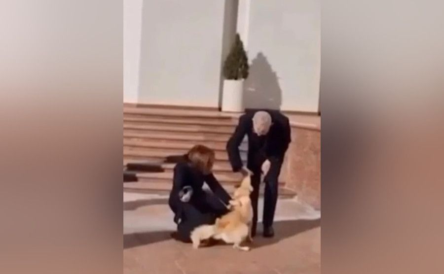 ������ ���������� �������� ������� ������ �������