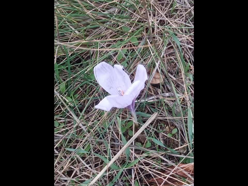 ���� � ������������ ��������� ������� ������������� �������� �������� ����� ����� ���� ������ �� ������� ������� ����������, �� ��������������� ��������� �������� ���� ������� ������ ��������� � ���� �������