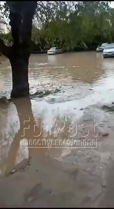 ��-�� ��������� ����� ��������� ���� � ������ �������� ����� ������������ � �����