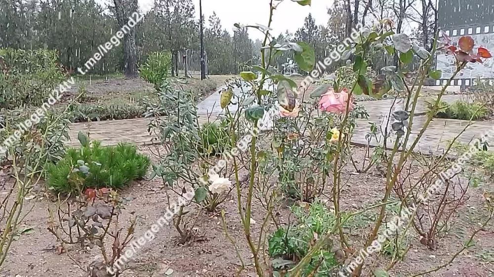 � ����������� �� ��������� ���� ������ ������� � �����, � ����, � ����