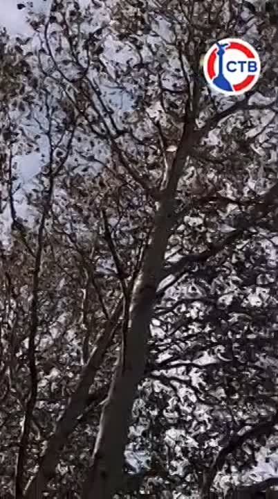 ������ ���������� �����, ��� ����� �� �������� � ��� �������������� ������ �� ������ ����� ������!