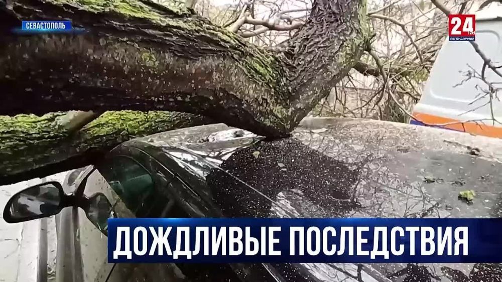 � ����������� ������ �� �������� �������, ����� ���������������, ����� �����