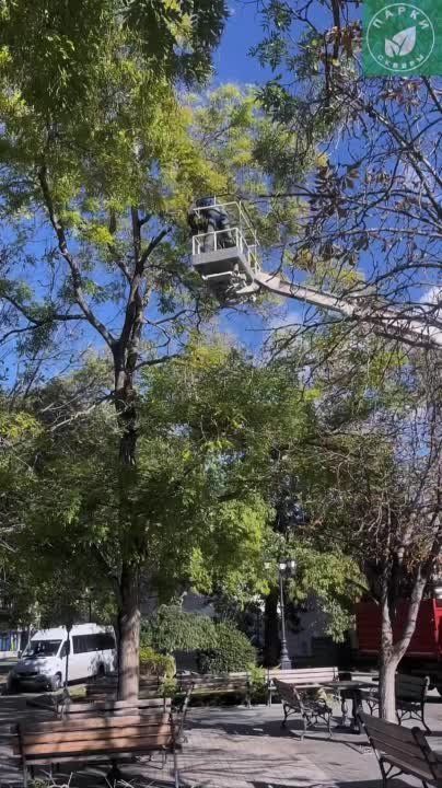 � ��������� ������ ������������ ������ �� ���������� ����������� ���� � �������� � �����������