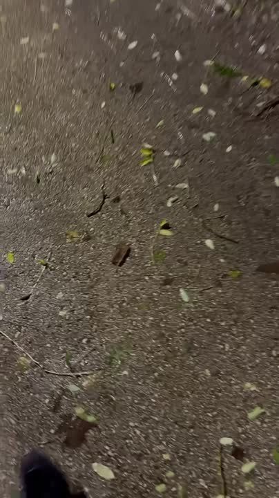 ������� ������: ��������������