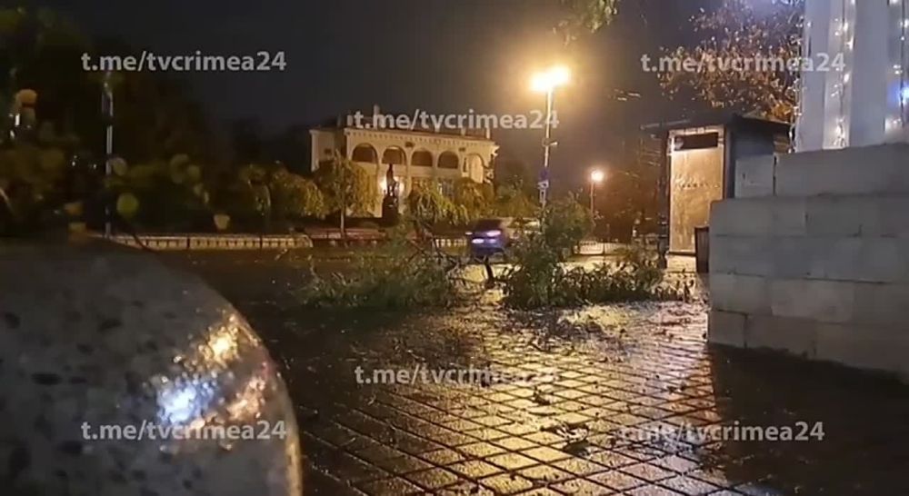 ����������� ������. ����������� ����. ���� 24 | @tvcrimea24