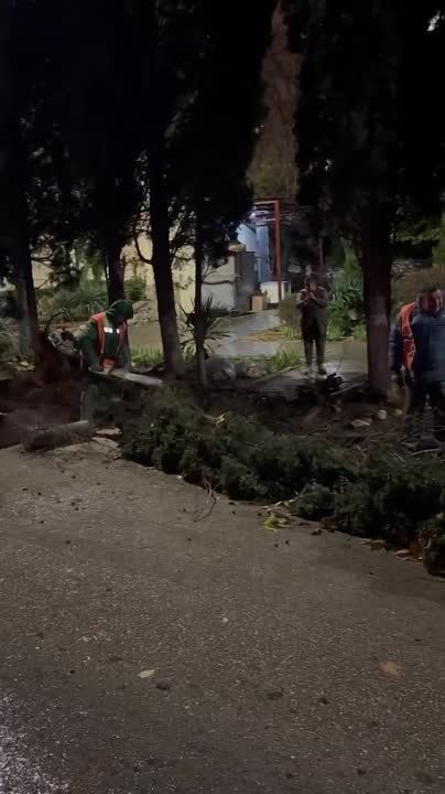 ������� ������: . ������� 50-����� ����