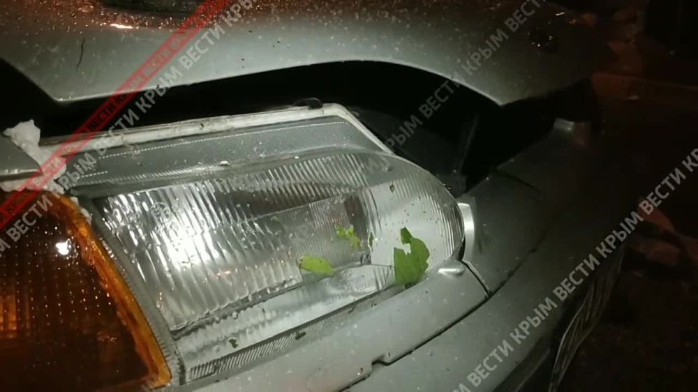 �����������.����������� ������