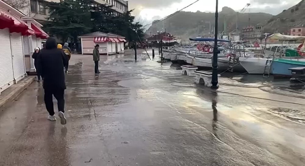 ����������� �������� � ���������