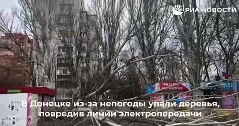 ������� � �������� � ��������� ���������� � ���������� �������� �� 17.00 ���: