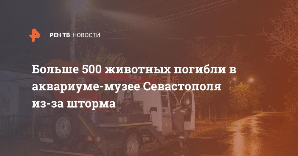 ������ 500 �������� ������� � ���������-����� ����������� ��-�� ������