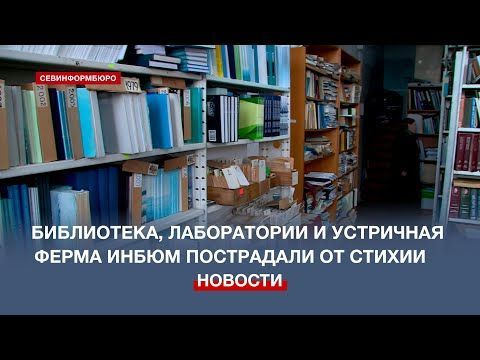 ����� ��������� ��������� ����� � �������� 4 ������� ����������� �����