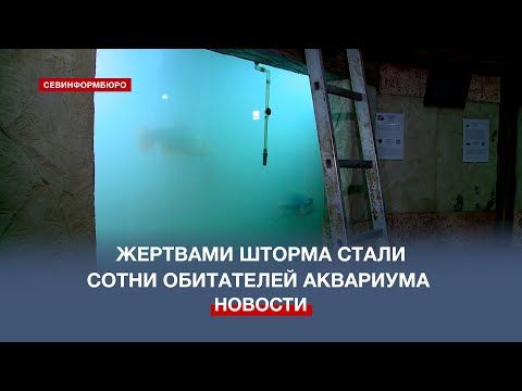 ����� ���������� ���������������� ��������� ������� � ���������� ������� ������