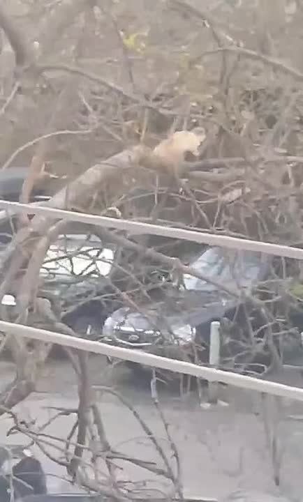 �� �������� ���������� ������ ��������� �������� ������ ������ �� ������
