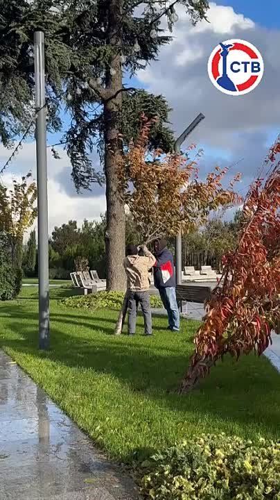���������� ������� ������