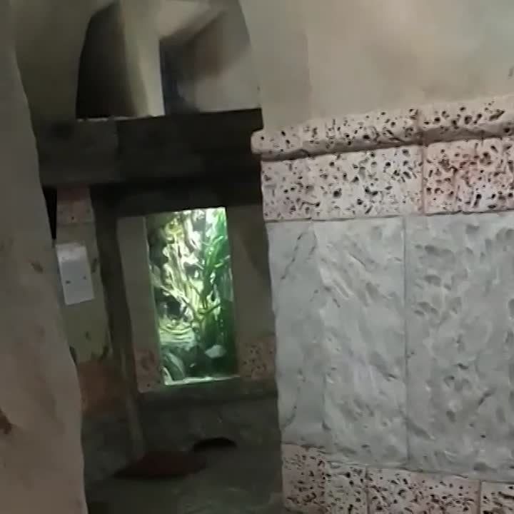 ����� 800 ������������ ������������ ���, � ��� ����� �������, ������� �� ����� ������ � �����-��������� � �����������
