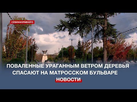 ����������� ������� ����������� �� ���������� �������� � �����������