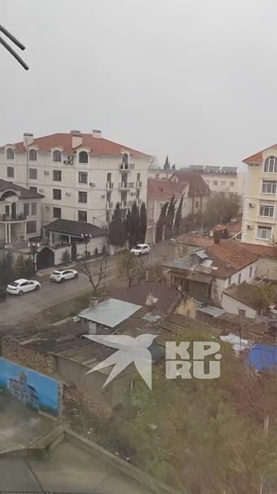 �� ��������: "���� �������� �� ��� - ��. ��������"