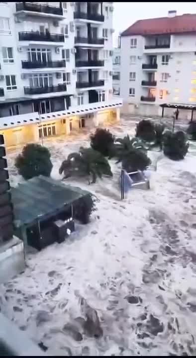 ������ ������ �� ��� ������ ������ � ��������� ���������� ������������
