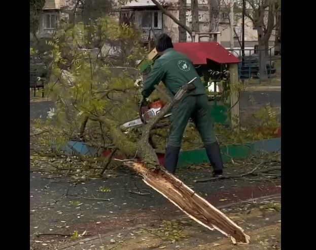 � ����������� ��� ���������� ����������� ������ ������������� 109 ��������� ������