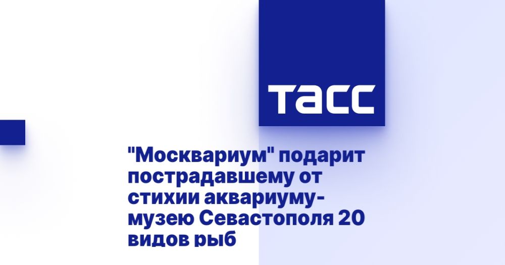 "����������" ������� ������������� �� ������ ���������-����� ����������� 20 ����� ���