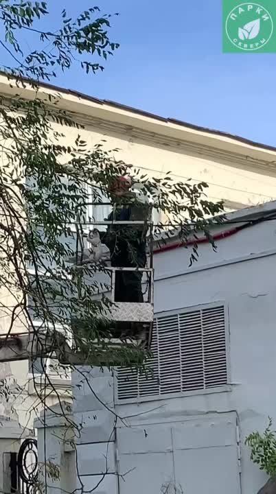 ������� ��������� �������� ������ ���������������, ���������� ������ ����� ������������ ������ �� ����� ������