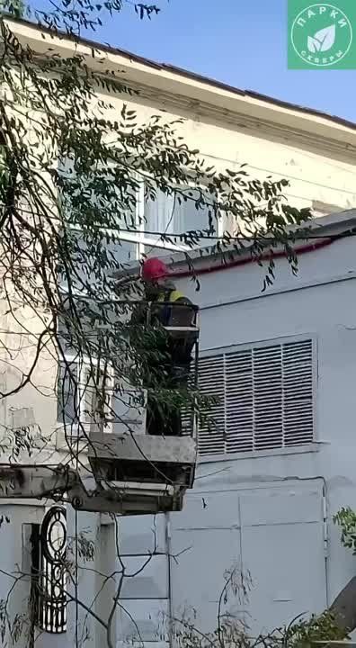 � ����������� ��-��� ������� �������� ������ ��������