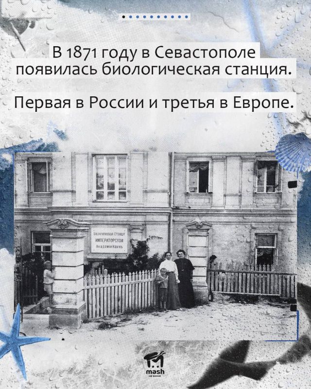 "����� ����" ������ ���� � �������� �������� ����� ����� � �����������