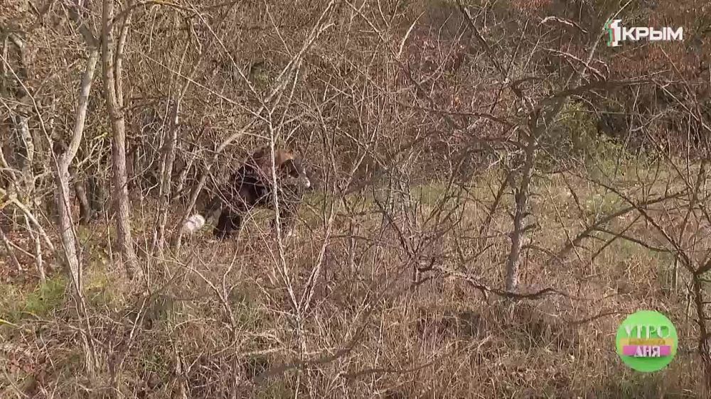 ���� ������ ���: "������ � �������"