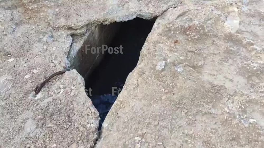 ����� ���������������������: �� ���������� ��������� ������������ ������� "������"