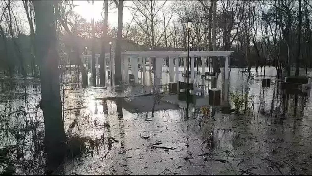 ������ ���� ���� ����-������ ��� ���������������� �������� �����������