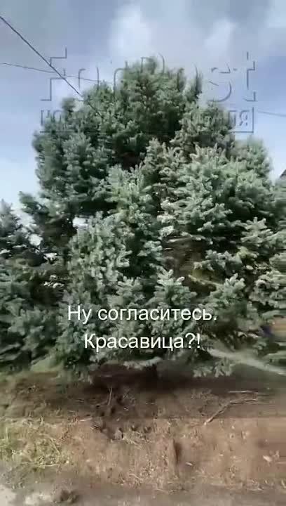 ������ ��������� �� ��������� �������������� ������� ������������ �� ������� ���, ����� ���� ������ ������ ����