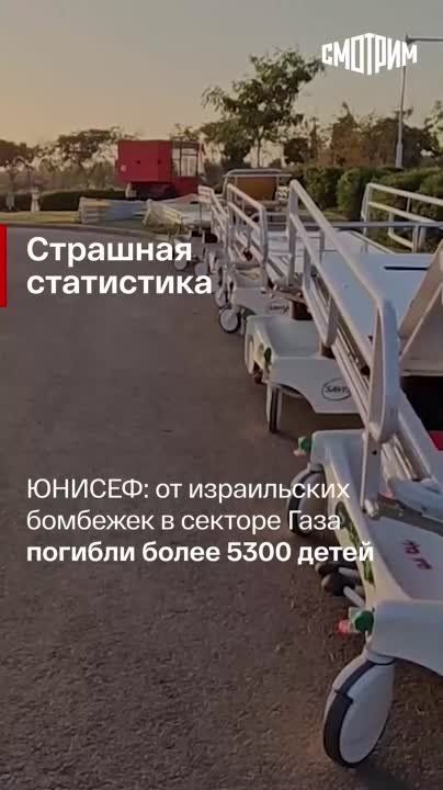 ������� ������� ����� ���: