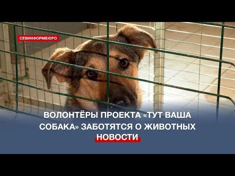 ������ 3 ����: � ����������� ������� ���������� ���� ������� ������������ ��������