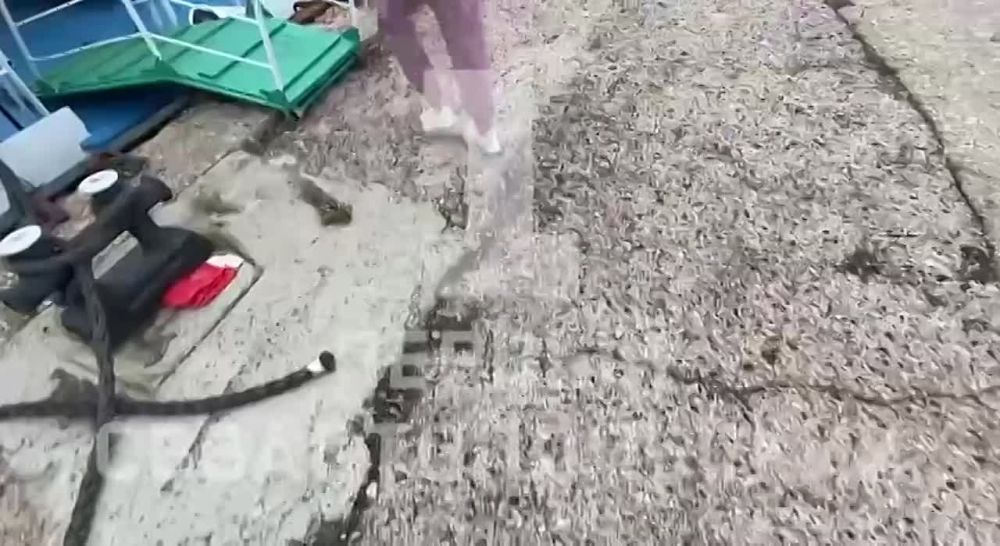 ������ �� ����� ��������� �������� � ��������� ����������� �������� � ���������