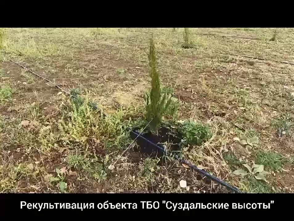 � ������ 2023 ���� � ����� ���������� ������������ ������� ������� ������ ������������� ������� ���������� � ������...
