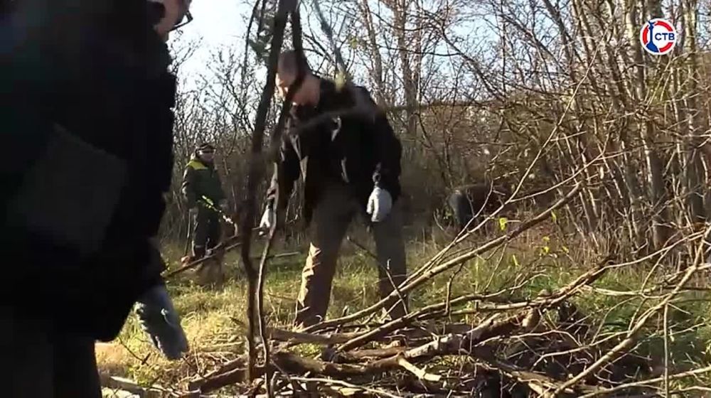 � ����������� ������� ��������� �� ������ ������ ����� ������� ����