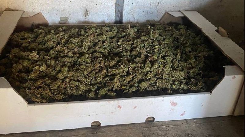 ������ ����� �������� ����� 10 ����������� ������� �� �������