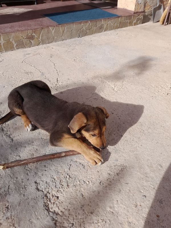 ��� ��������� �������� ���� ������ ���� ��� �������