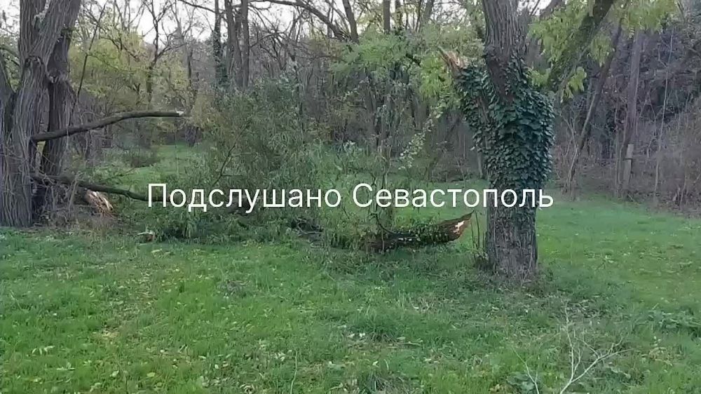 ���������� ���� �������� � ������� ����� ������, ������� 26 ������ ����� ������������ ����� ������