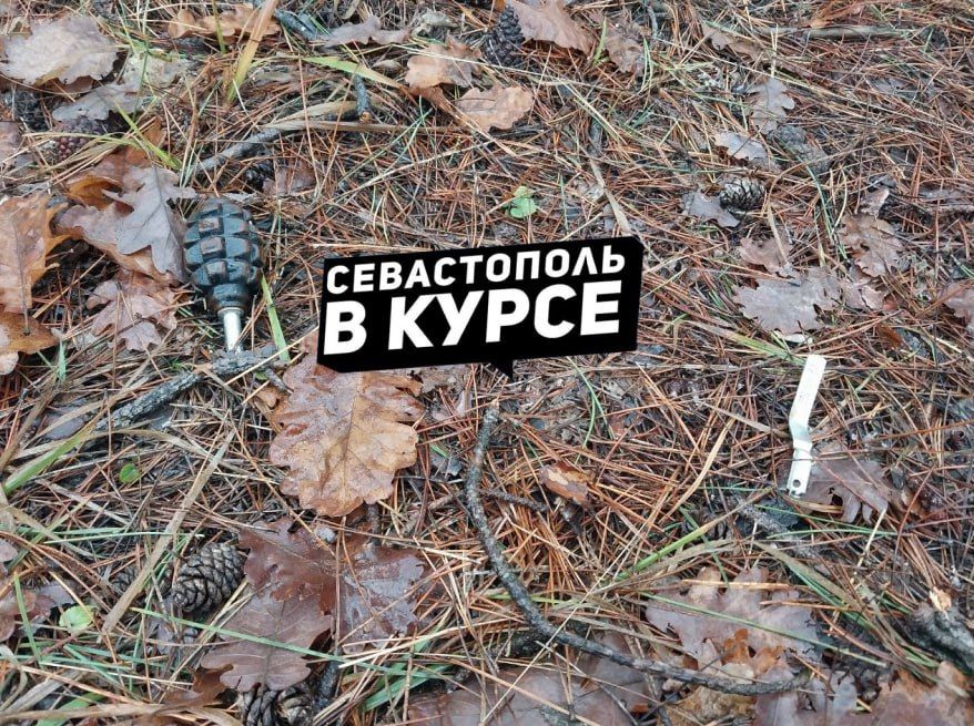 ����� ����� �� ����������: ������ ������ ������������ ����� �������