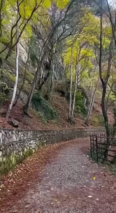 ���������� ����� � �������� ����-�� ������������